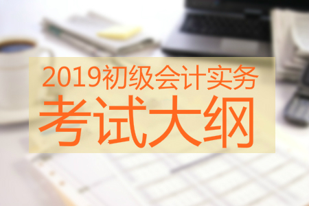 2019年初级会计实务考试大纲 2019年初级会计实务考试大纲