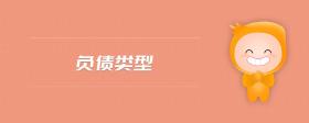 负债类型