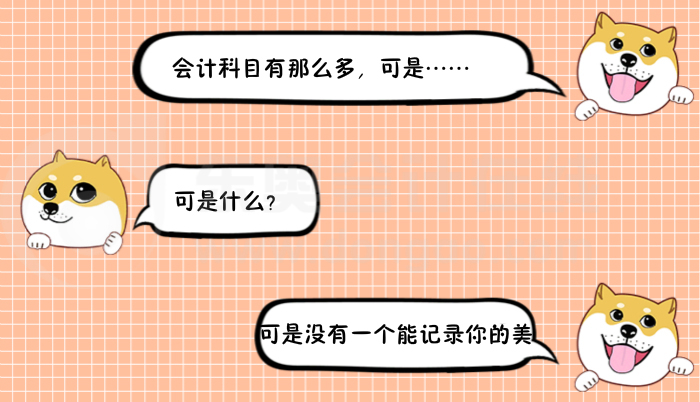 会计人土味情话6