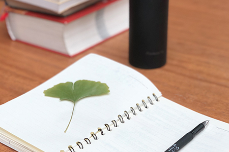 税务师:《关于开展个人所得税汇算清缴公益服务的倡议书》 税务师:《关于开展个人所得税汇算清缴公益服务的倡议书》