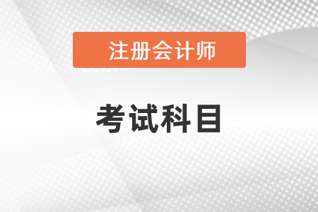 2021年云南省保山CPA考试科目都有什么？