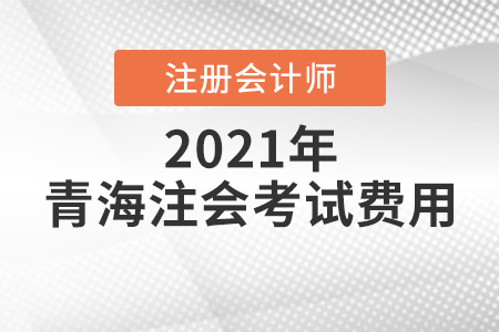 2021年青海省海东注会考试费用多少钱
