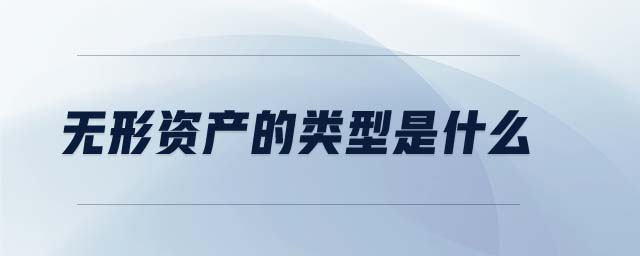 无形资产的类型是什么