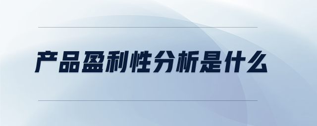 产品盈利性分析是什么 产品盈利性分析是什么