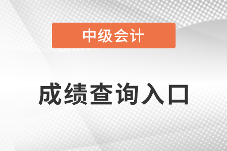 2022年天津市宁河县中级会计师成绩查询网址