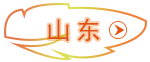 山东 山东