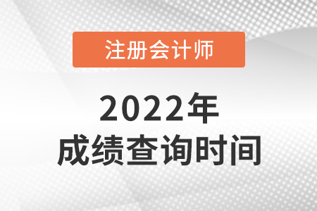 2021年山东省菏泽cpa成绩查询时间