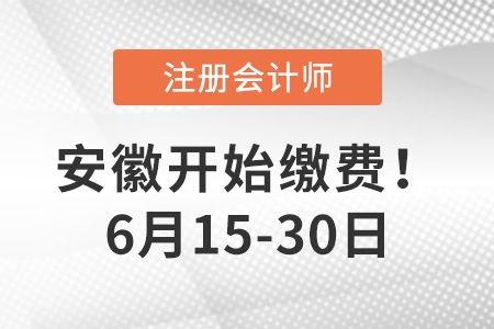 2022年安徽省铜陵注册会计师缴费时间6月15日开始!缴费从速! 2022年安徽省铜陵注册会计师缴费时间6月15日开始!缴费从速!