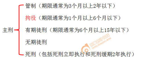 初级会计实务 初级会计实务