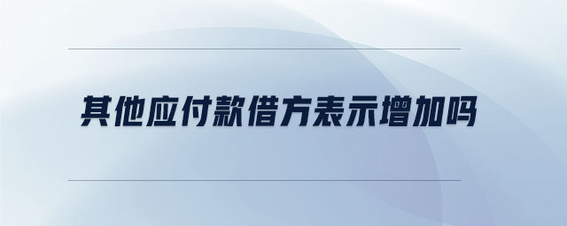 其他应付款借方表示增加吗 其他应付款借方表示增加吗
