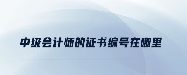 中级会计师的证书编号在哪里 中级会计师的证书编号在哪里