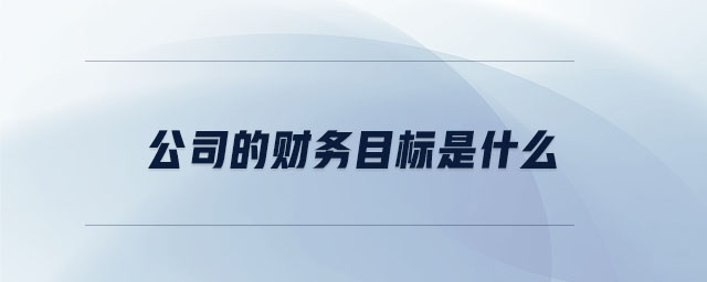 公司的财务目标是什么 公司的财务目标是什么