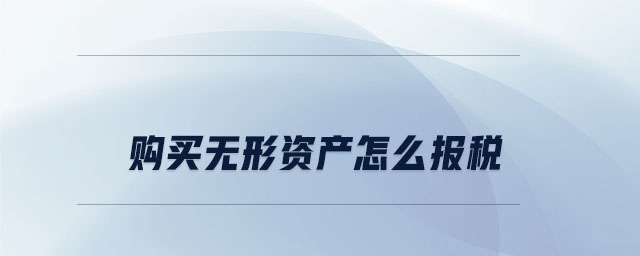 购买无形资产怎么报税 购买无形资产怎么报税