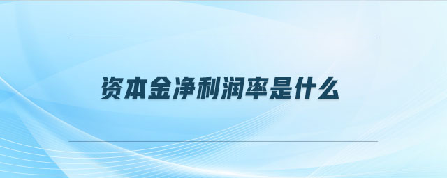 资本金净利润率是什么