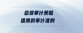 总体审计策略适用的审计准则