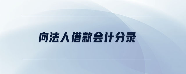 向法人借款会计分录 向法人借款会计分录