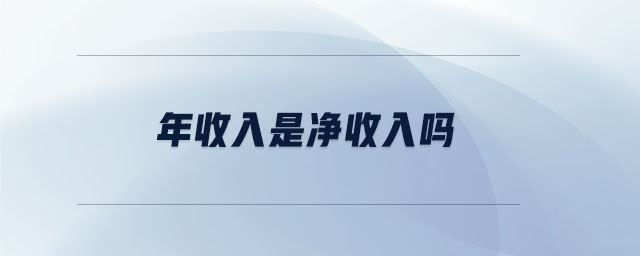 年收入是净收入吗 年收入是净收入吗