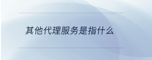 其他代理服务是指什么 其他代理服务是指什么