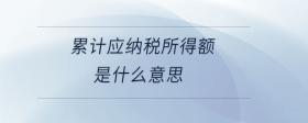 累计应纳税所得额是什么意思