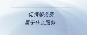 促销服务费属于什么服务