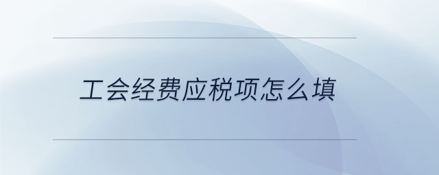 工会经费应税项怎么填 工会经费应税项怎么填