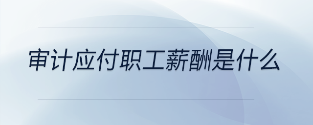 审计应付职工薪酬是什么 审计应付职工薪酬是什么