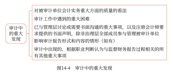 审计中的重大发现 微信截图_20241118132727