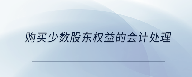 购买少数股东权益的会计处理 购买少数股东权益的会计处理