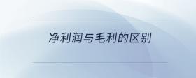 净利润与毛利的区别