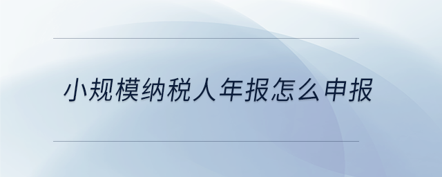 小规模纳税人年报怎么申报 小规模纳税人年报怎么申报