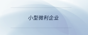 小型微利企业