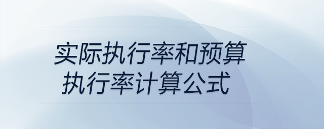 实际执行率和预算执行率计算公式 实际执行率和预算执行率计算公式