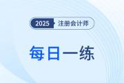 2025年注册会计师考试每日一练汇总11.14