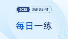 2025年注册会计师11月每日一练汇总