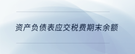 资产负债表应交税费期末余额