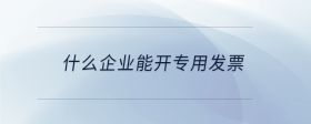 什么企业能开专用发票