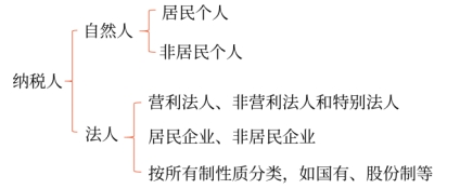纳税人