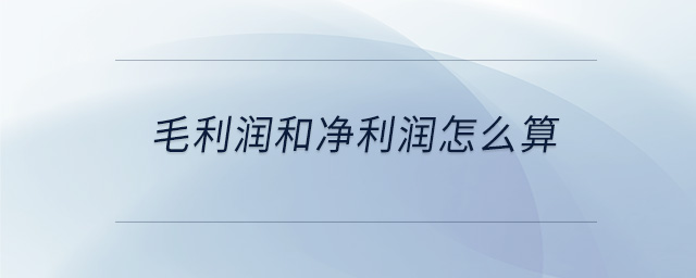 毛利润和净利润怎么算