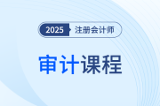 凌紫绮老师课程免费公开！10节课带你复盘注会《审计》