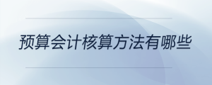 预算会计核算方法有哪些