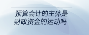 预算会计的主体是财政资金的运动吗