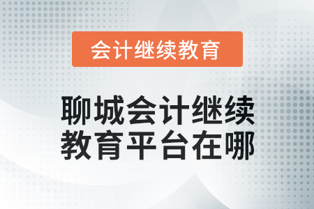 2025年聊城会计人员继续教育平台在哪？