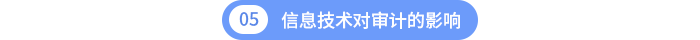 第五章信息技术对审计的影响