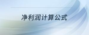 净利润计算公式