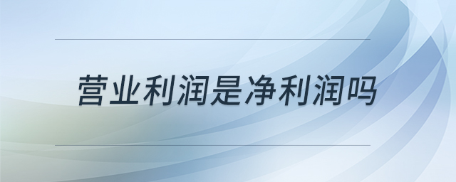 营业利润是净利润吗 营业利润是净利润吗