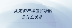 固定资产净值和净额是什么关系