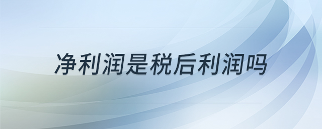 净利润是税后利润吗