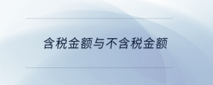 含税金额与不含税金额