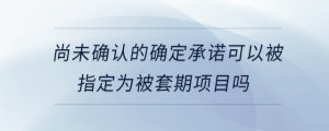 尚未确认的确定承诺可以被指定为被套期项目吗