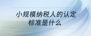 小规模纳税人的认定标准是什么